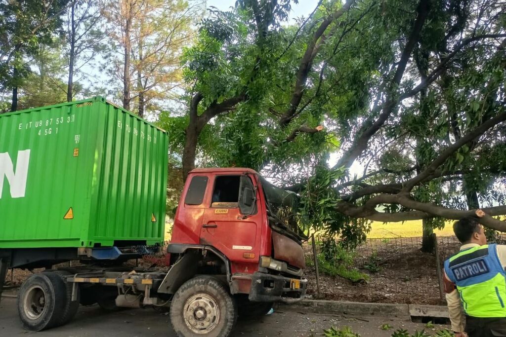 truck ketimpa pohon