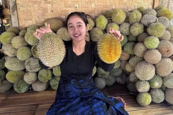 Ribuan Wisatawan Padati Badui, Berburu Durian Khas Lebak, Badui.