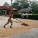 Distan Lebak Lakukan Pompanisasi Guna Mitigasi Kekeringan Dampak El Nino