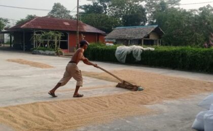 Distan Lebak Lakukan Pompanisasi Guna Mitigasi Kekeringan Dampak El Nino