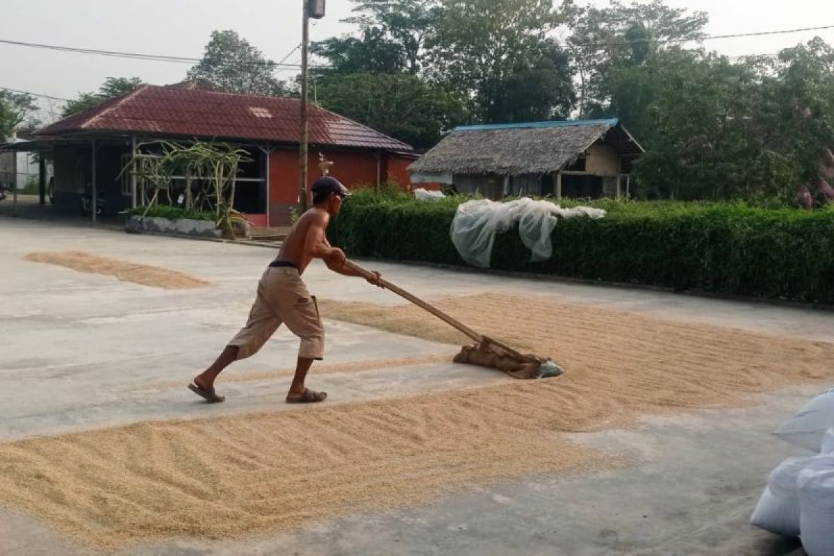 Distan Lebak Lakukan Pompanisasi Guna Mitigasi Kekeringan Dampak El Nino