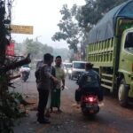 Pengendara Motor Tewas Tertimpa Pohon Tumbang di Serang Saat Pulang Kerja