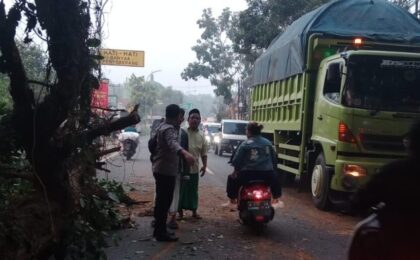 Pengendara Motor Tewas Tertimpa Pohon Tumbang di Serang Saat Pulang Kerja