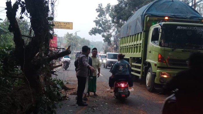 Pengendara Motor Tewas Tertimpa Pohon Tumbang di Serang Saat Pulang Kerja