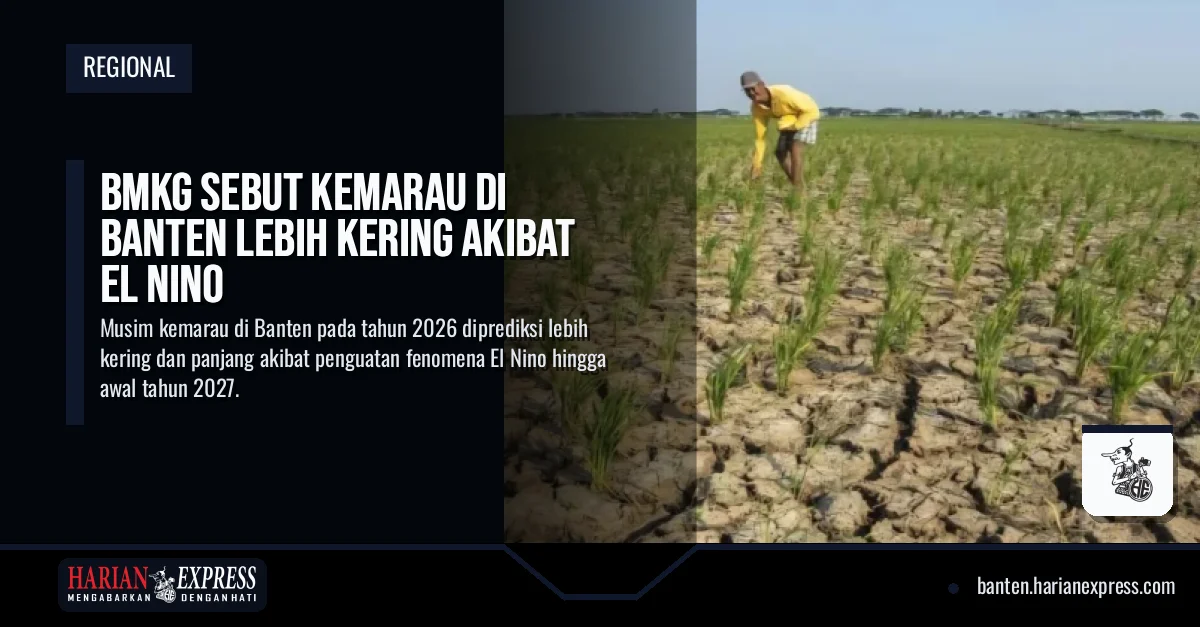 BMKG Sebut Kemarau di Banten Lebih Kering Akibat El Nino