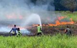 Penanganan Karhutla Menunjukan Hasil: Hotspot High Confidence Nasional Turun Signifikan Jadi 558 Titik