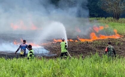 Penanganan Karhutla Menunjukan Hasil: Hotspot High Confidence Nasional Turun Signifikan Jadi 558 Titik Penanganan Karhutla Menunjukan Hasil: Hotspot High Confidence Nasional Turun Signifikan Jadi 558 Titik