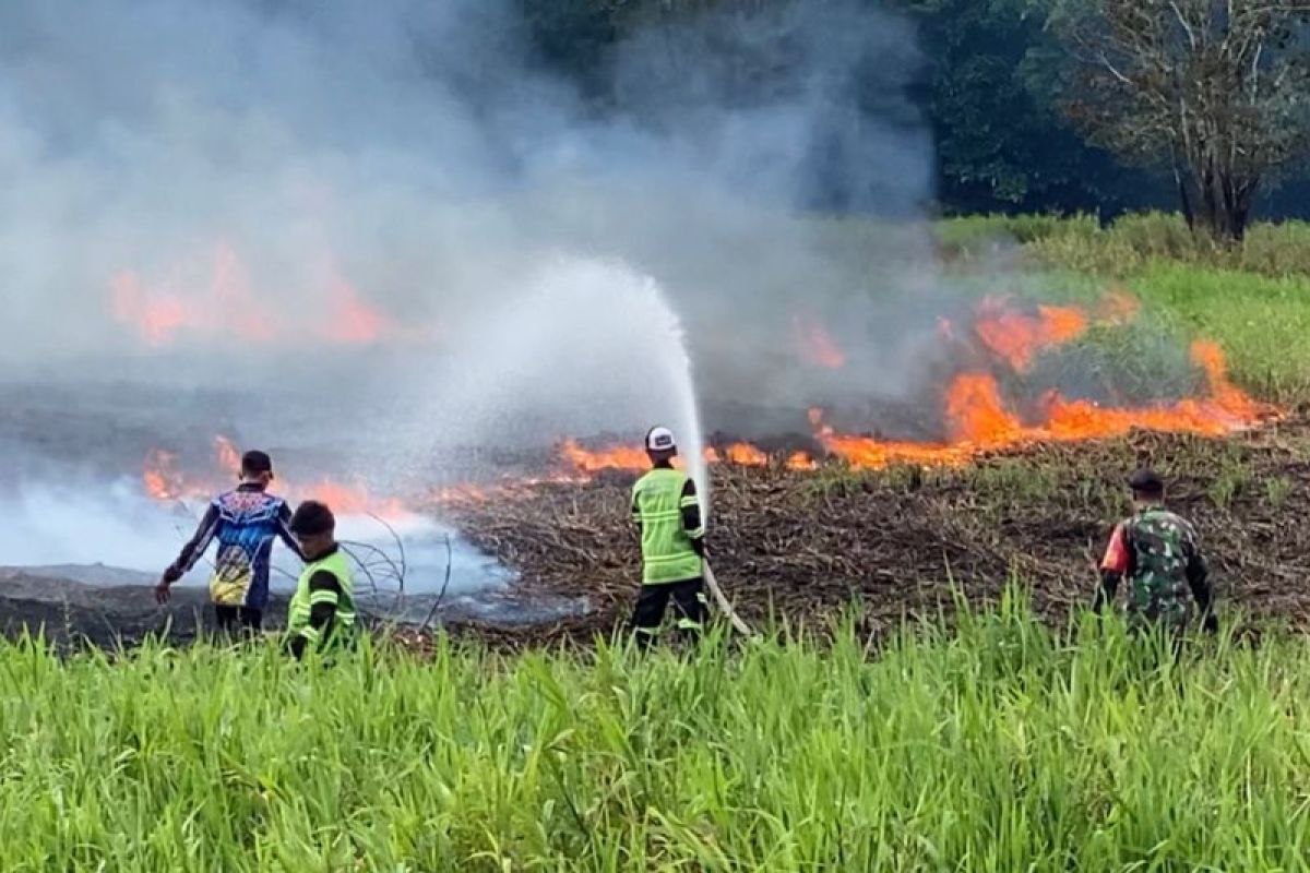 Penanganan Karhutla Menunjukan Hasil: Hotspot High Confidence Nasional Turun Signifikan Jadi 558 Titik