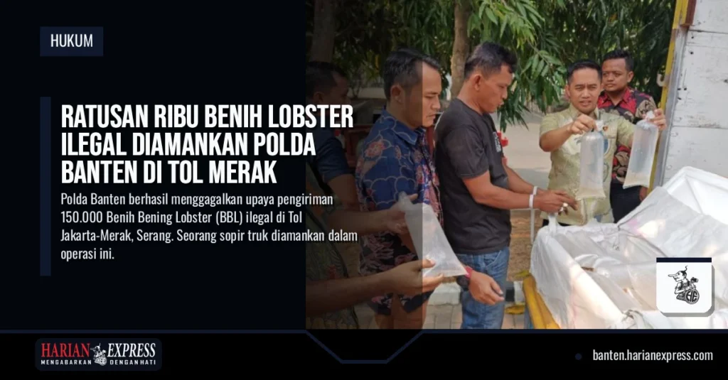 Ratusan Ribu Benih Lobster Ilegal Diamankan Polda Banten di Tol Merak