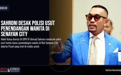 Sahroni Desak Polisi Usut Penendangan Wanita di Senayan City