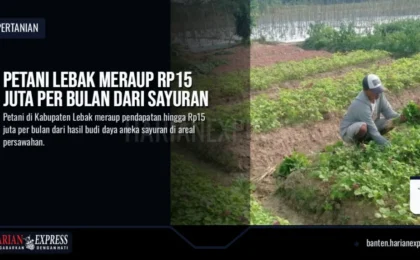 Petani Lebak Meraup Rp15 Juta per Bulan dari Sayuran